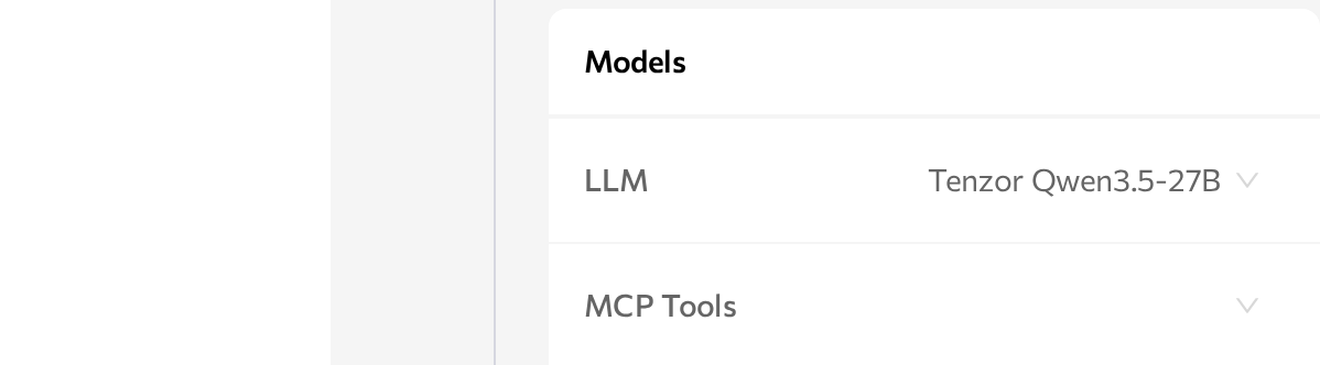 Models card with the LLM row and a selected connection